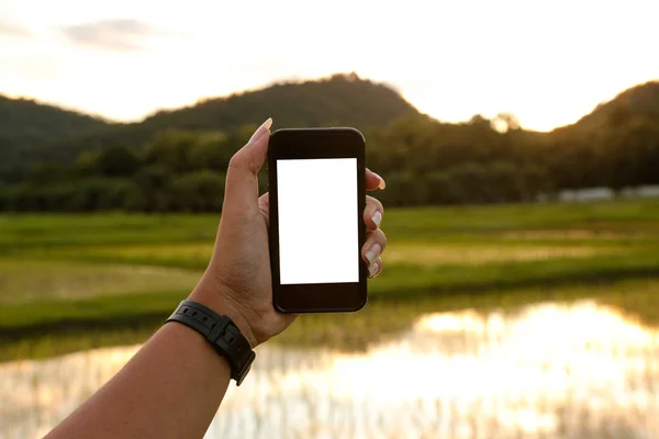 Mobile phone in the hands of a woman have a white screen for text or image input with a blurred view of field and mountain in background.