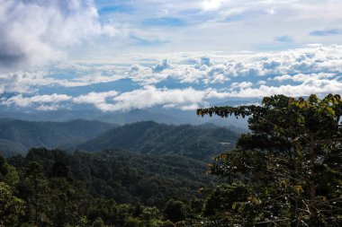 Deniz sis ve bulutlar dağ üstüne üst görünümden Chiangmai Tayland, sabah çekilen fotoğraf.