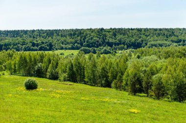Yeşil vadinin yaz manzarası