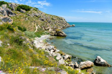 Kayalık deniz kıyısı, yabani çiçekler, büyük taşlar, mavi gökyüzü, mavi deniz, güneşli hava
