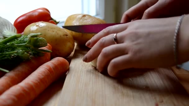 Kesme tahtasındaki bıçakla kırmızı soğan doğrayan bir kız. Tavuk çorbası ya da sebze yahnisi ya da salata pişirmeye hazırlanıyorum. — Stok video