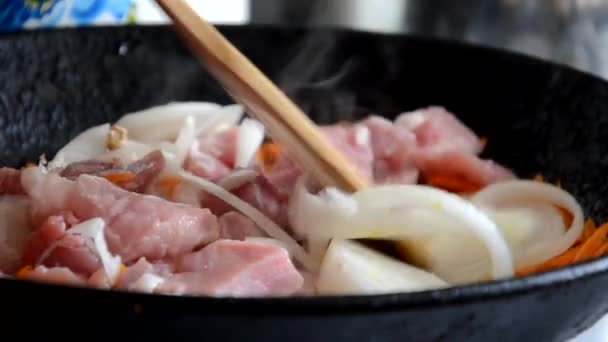 Cooking in a frying pan, studio lighting, girl fry pork, beef with vegetables in a pan — Stock Video