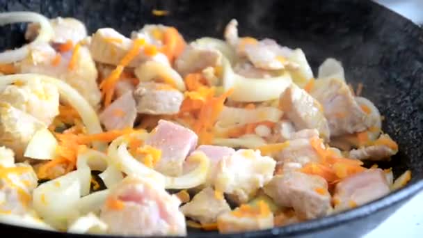 Cocinar en una sartén, iluminación del estudio, freír cerdo, carne de res con verduras en una sartén — Vídeo de stock