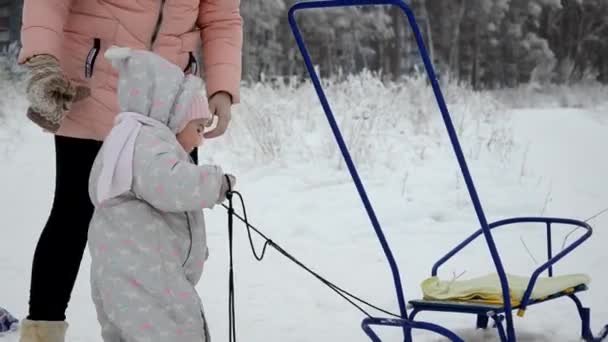 Rodzina przechadzająca się przez Winter Woodland. Dziewczynka i jej mama spacerują po zimowym lesie. Bawić się śniegiem i sankami. w ciepłych zimowych ubraniach — Wideo stockowe