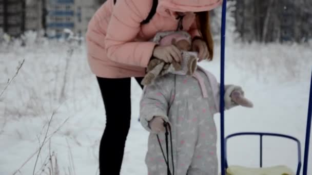 Family Walking Through Winter Woodland. menina e sua mãe estão andando na floresta de inverno. brincando com neve e trenó. em roupas quentes de inverno — Vídeo de Stock