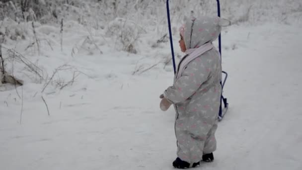 Family Walking Through Winter Woodland. menina e sua mãe estão andando na floresta de inverno. brincando com neve e trenó. em roupas quentes de inverno — Vídeo de Stock