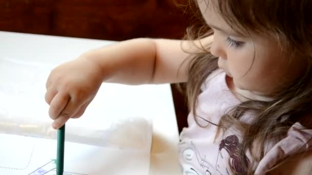 Petite fille de deux à trois ans décorer les animaux avec des stylos feutre. Enfant faisant ses devoirs et écrivant un essai d'histoire. Classe primaire ou primaire. Gros plan des mains et crayons colorés . — Video