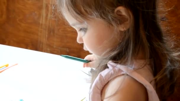 Niña de dos a tres años decorar animales con rotuladores. Niño haciendo deberes y escribiendo ensayo de historia. Clase primaria o primaria. Primer plano de manos y lápices de colores . — Vídeo de stock