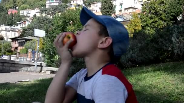 Gyerek gyerek eszik alma gyümölcs szabadtéri tavasszal vagy nyáron vagy ősszel természet egészséges szabadban piknik — Stock videók