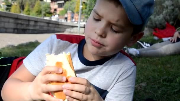 Nastoletni chłopiec lub uczeń zjada kanapkę z serem i kiełbasą w naturze, kłamie lub siedzi na trawie, w przyrodzie, piknik, przekąskę na tle pięknego jeziora. słodkie chłopiec leżące na ziemi — Wideo stockowe