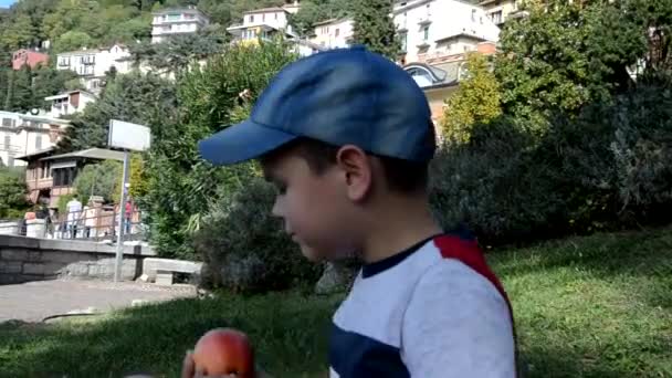 Child kid eating apple fruit outdoor spring or summer or autumn fall nature healthy outdoors picnic — Stock Video