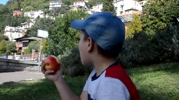 Criança criança comendo frutas de maçã primavera ao ar livre ou verão ou outono queda natureza saudável ao ar livre piquenique — Vídeo de Stock