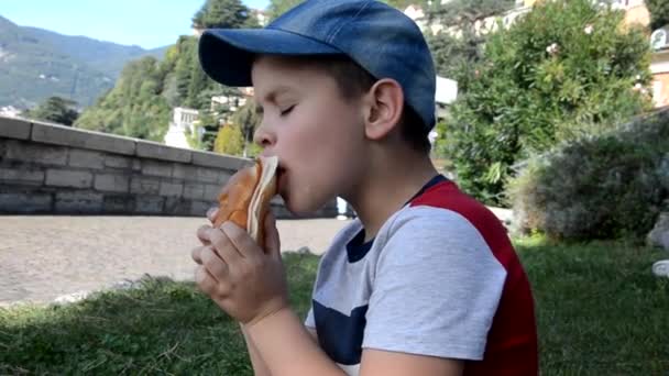 Мальчик-подросток или школьник ест сэндвич с сыром и колбасой на природе, лежит или сидит на траве, на природе, на пикнике, на фоне красивого озера. симпатичный мальчик, лежащий на земле — стоковое видео