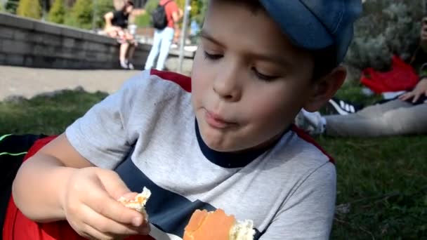 Ένας έφηβος ή σχολιαρόπαιδο τρώει ένα σάντουιτς με τυρί και λουκάνικο στη φύση, ξαπλώνει ή κάθεται στο γρασίδι, στη φύση, ένα πικνίκ, ένα σνακ στο φόντο μιας όμορφης λίμνης. χαριτωμένο αγόρι ξαπλωμένο στο έδαφος — Αρχείο Βίντεο
