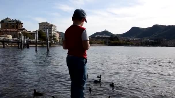 后视镜看到小男孩把食物扔进河里喂鸭子，美丽的湖景 — 图库视频影像