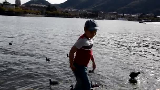 Visão traseira do menino jogando comida no rio para alimentar patos, bela vista do lago — Vídeo de Stock