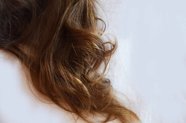 Pedazo de cabello castaño sobre fondo blanco aislado sano y brillante — Foto de Stock