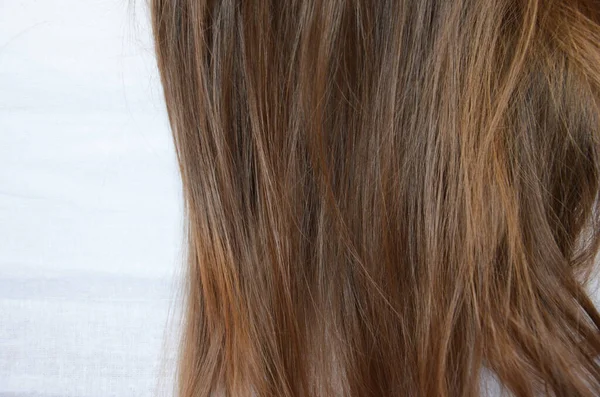 Sepotong rambut coklat pada latar belakang putih terisolasi sehat dan mengkilap Stok Foto Bebas Royalti