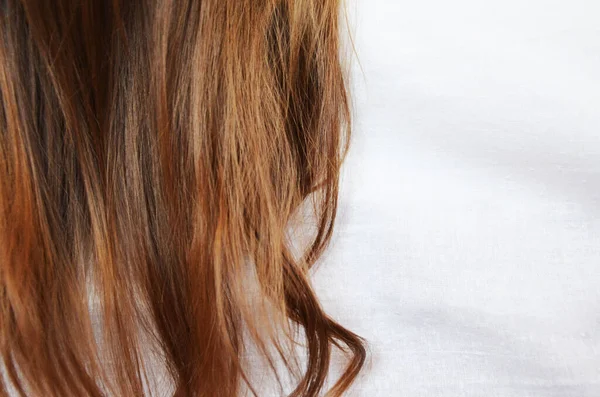 Pedazo de cabello castaño sobre fondo blanco aislado sano y brillante —  Fotos de Stock