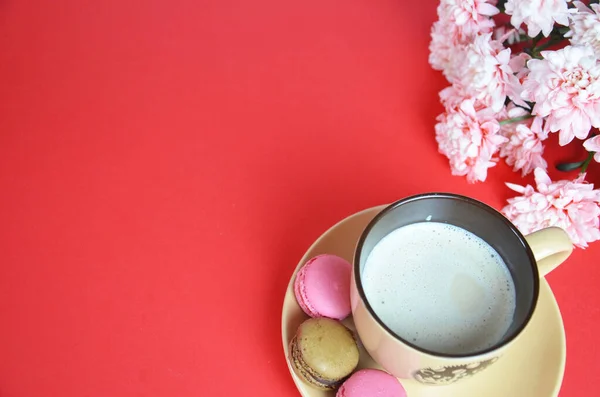 Beige Taza Cappuccino Hermosas Flores Yeso Blanco Rosa Fondo Rojo — Foto de Stock