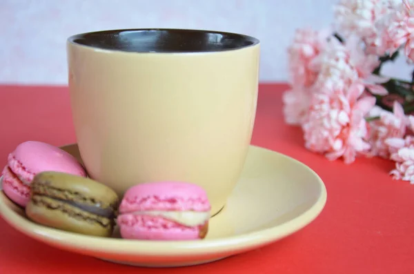 米色杯卡布奇诺美丽的白色粉红石膏花在红色的背景 早上好贺卡 从上面看 在母亲节或母亲节保存太空饼干金丝雀早餐 — 图库照片