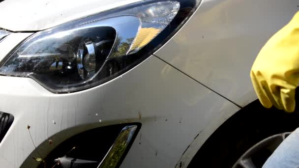 Primer plano de la mano en guantes amarillos con un trapo lavar varias piezas de la máquina Cepillo Lavado coche blanco — Vídeo de stock