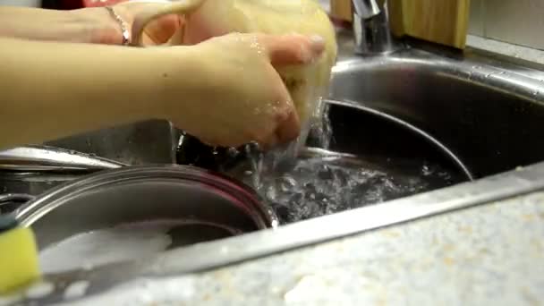 Las manos de la mujer enjuagan la placa en el fregadero de la cocina, haciendo las tareas en casa con detergente de plato de esponja. Rutina de lavado de platos, cámara estática . — Vídeo de stock