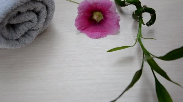 Bakgrund av ett spa med rosa blomma, vit handduk rullas upp och en kvist av grön bambu flicka tänder ett ljus — Stockvideo