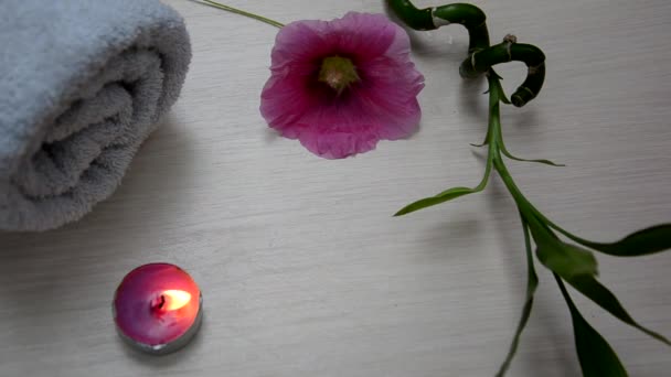 Φόντο ενός σπα με ροζ λουλούδι, λευκή πετσέτα τυλιγμένη και ένα κλαδί από πράσινο μπαμπού κορίτσι ανάβει ένα κερί — Αρχείο Βίντεο