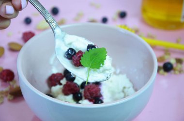 Taze böğürtlenli Ricotta ve pembe masada bal. Süzme peynir, peynir veya tvorog ve böğürtlen kasesi. Yaz tatlısı, kahvaltı ya da sağlıklı atıştırmalık. Bir kavanoz bal yaban mersini ve ahududu.