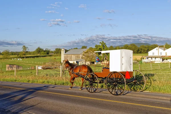 Egy Amish ló és kocsi utazik egy vidéki úton — Stock Fotó