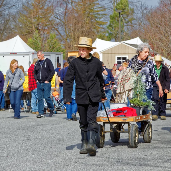 Amish fiú szállít eladott tételek sár eladó — Stock Fotó