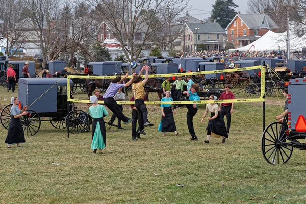 Amish gençlik oyun Voleybol Fayda Müzayede