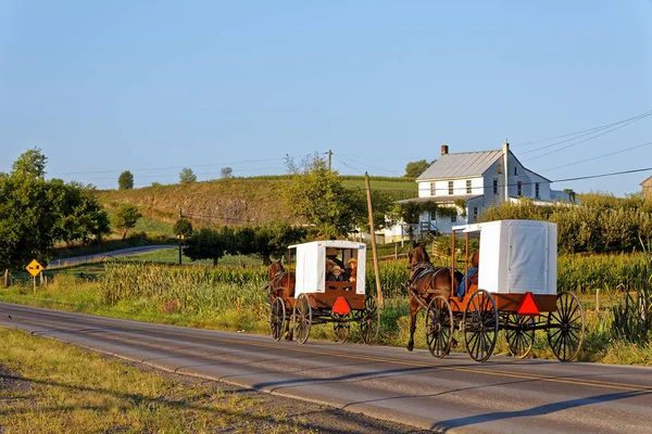 阿米什人家庭旅行用马和马车 — 图库照片