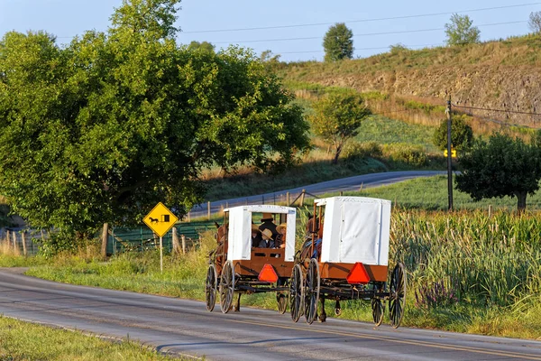 Amish οικογένειες ταξίδι με άμαξα με άλογα — Φωτογραφία Αρχείου