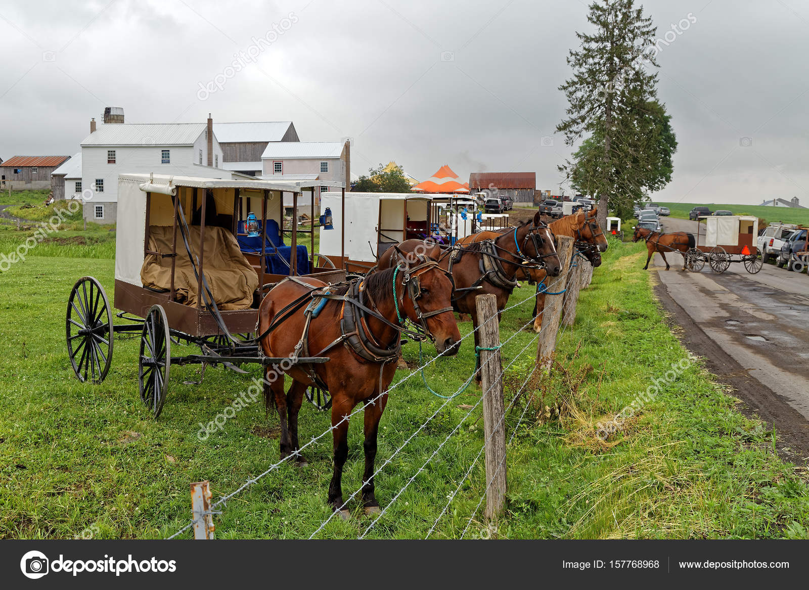 Amish Benefit Auction in Pennsylvania Stock Photo by ©DelmasLehman
