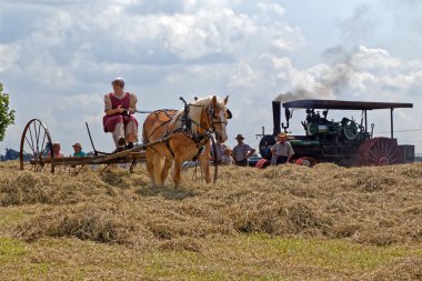 Woman Raking Hay With Horse Drawn Equipment clipart