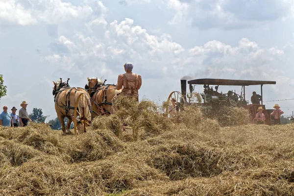 Vintage Horse Drawn Hay Tedder — Stock Photo, Image