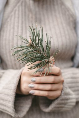 Altay Dağları ve nehir