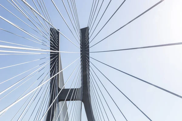 The giant bridge. The longest reinforced concrete suspension bridge, the longest single-pylon bridge, the bridge with the longest reinforced concrete span.