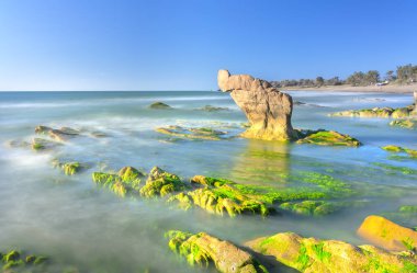 Antik taş yosun kaplı şafak