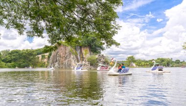 Aşık bir kuğu üzerinde rahatlatıcı güneşli bahar sabahı gölde tekne