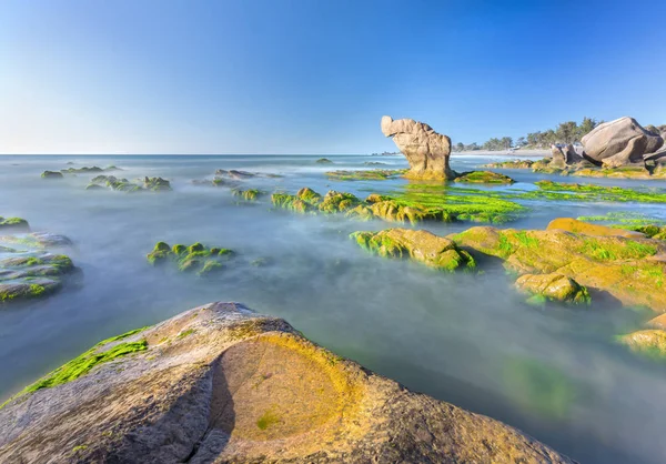 Svítání na horniny moss vztahuje — Stock fotografie