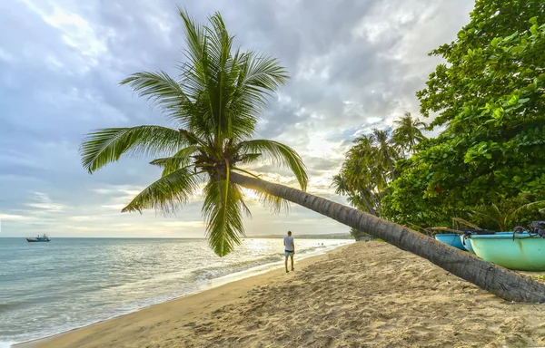 Yalnız git sonuna kadar Hindistan cevizi hurma ağaçları ile tropikal plaj — Stok fotoğraf