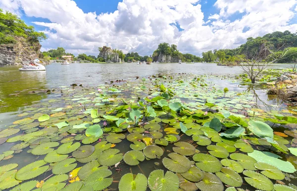 Manzara ekoturizm büyük lotus gölet Gölü ile