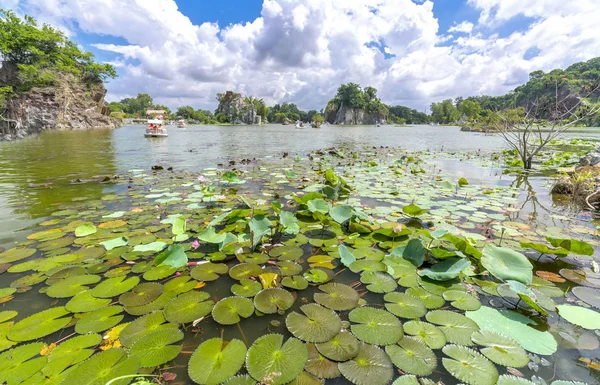 Manzara ekoturizm büyük lotus gölet Gölü ile