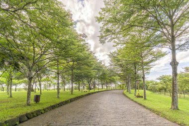 Altın gün ışığında yeşil ağaçlar ile parkta virajlı yollar Parlatıcı