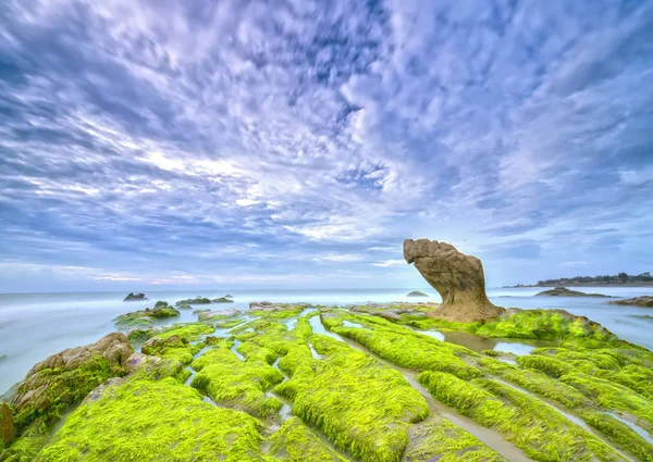 Stenarna täckt med mossa och alger välkomnar dawn vackra ny dag — Stockfoto