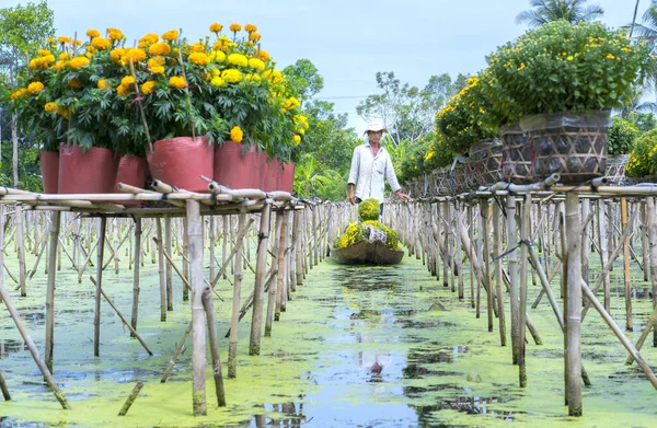 Boeren zijn het oogsten van daisy en goudsbloem bloempotten op boten — Stockfoto