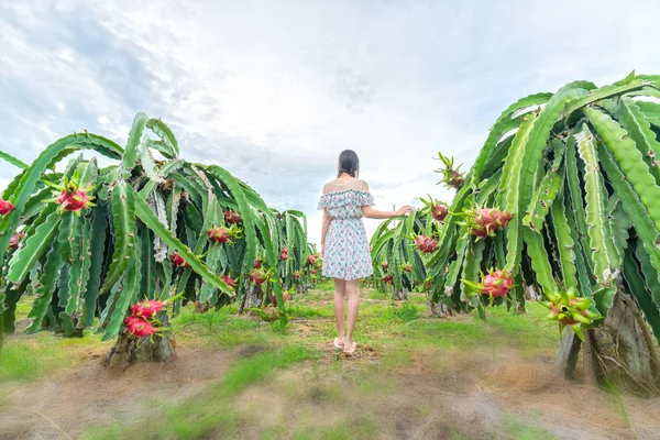 Молода жінка прогулюються в дракон Фруктовий сад — стокове фото